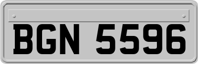 BGN5596
