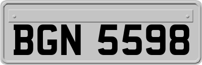 BGN5598