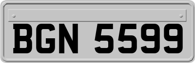 BGN5599