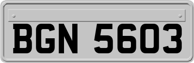 BGN5603