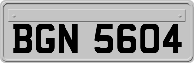 BGN5604