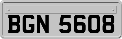 BGN5608