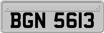 BGN5613