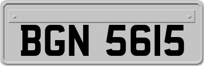 BGN5615