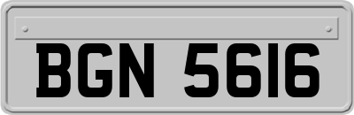 BGN5616