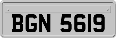 BGN5619