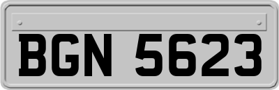 BGN5623