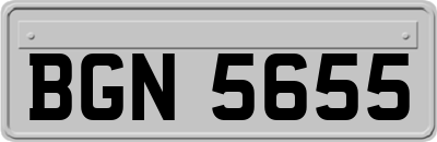 BGN5655
