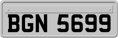BGN5699