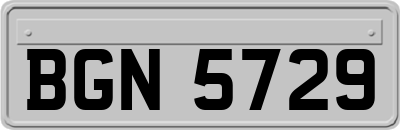 BGN5729