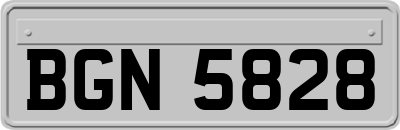 BGN5828