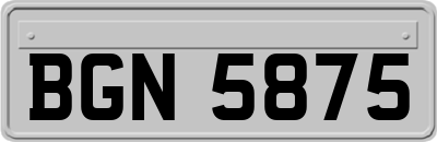 BGN5875