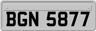BGN5877