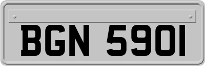 BGN5901