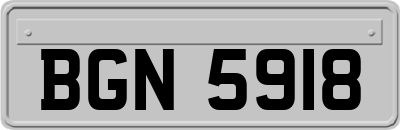 BGN5918