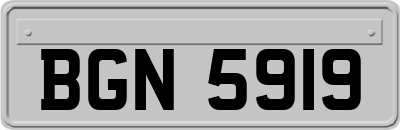 BGN5919