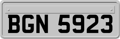 BGN5923