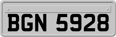BGN5928