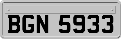 BGN5933