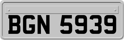 BGN5939