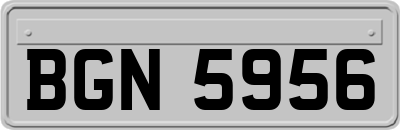 BGN5956