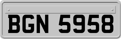 BGN5958