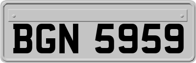 BGN5959