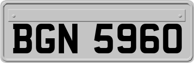 BGN5960