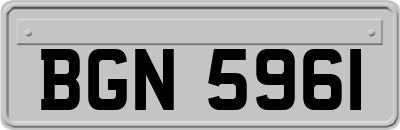 BGN5961