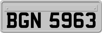BGN5963