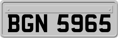 BGN5965