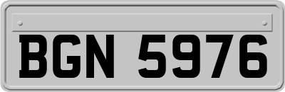 BGN5976