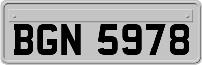 BGN5978