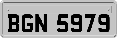 BGN5979