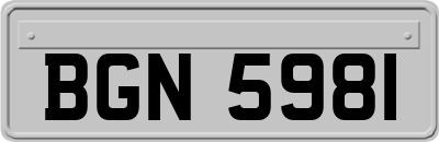 BGN5981