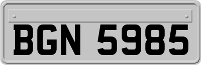 BGN5985