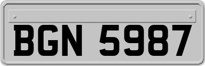 BGN5987