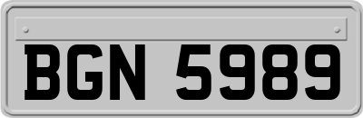 BGN5989