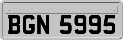 BGN5995