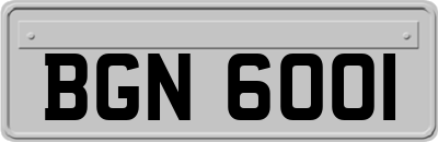 BGN6001