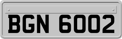 BGN6002
