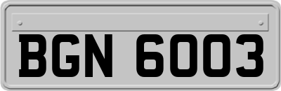 BGN6003