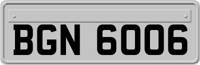 BGN6006