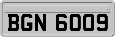 BGN6009
