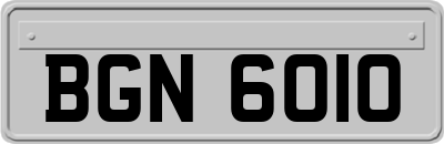 BGN6010
