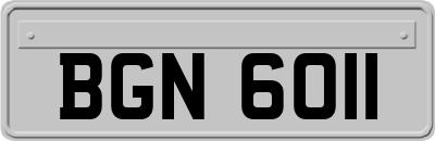 BGN6011