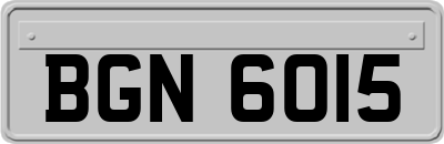 BGN6015