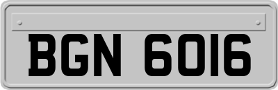 BGN6016