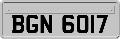 BGN6017