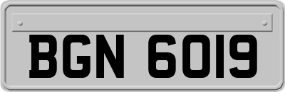 BGN6019